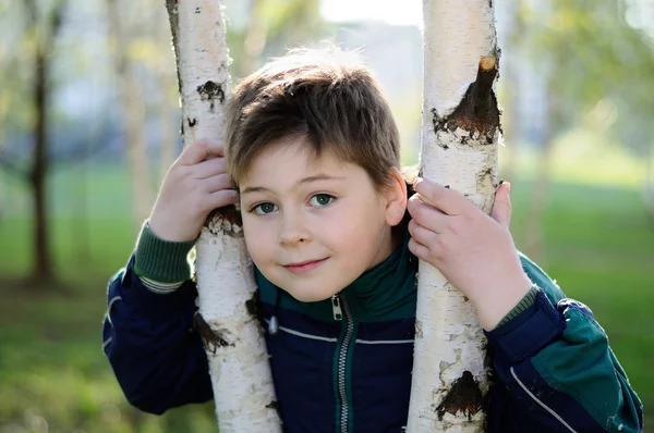 De jongen in het birch forest in het vroege voorjaar — Stockfoto