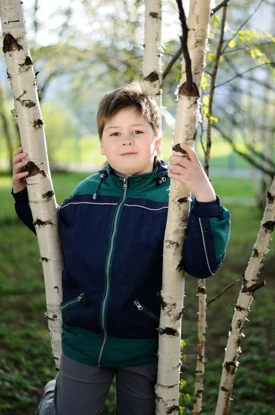 A fiú a nyír-erdő, kora tavasszal — Stock Fotó