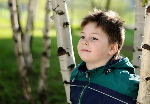 Pojken i skogen Björk tidigt på våren — Stockfoto