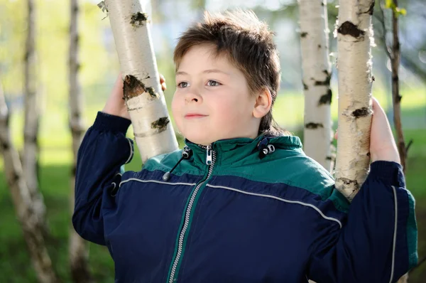 Chłopiec w lesie brzoza wczesną wiosną — Zdjęcie stockowe