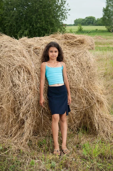 Piękna dziewczyna długowłosy w polu — Zdjęcie stockowe