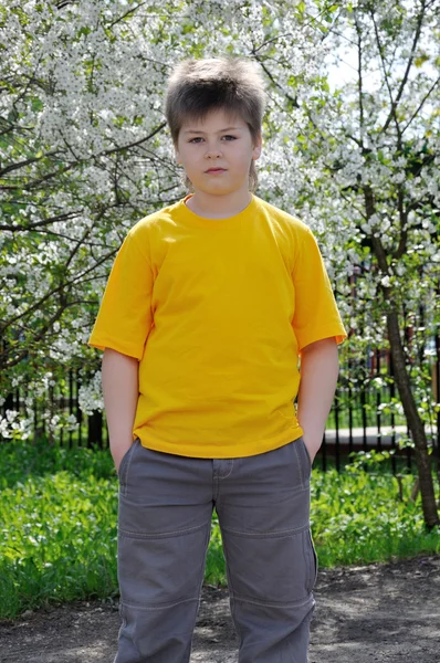 Pojken i trädgården under våren — Stockfoto