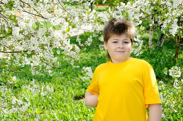 Pojken i trädgården under våren — Stockfoto