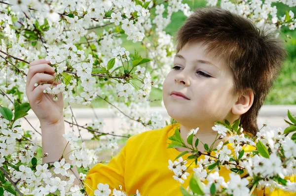 O menino no jardim na primavera — Fotografia de Stock