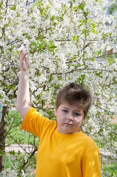 Le garçon dans le jardin au printemps — Photo