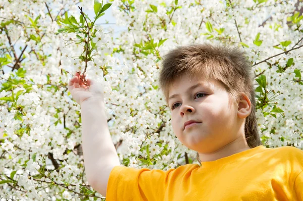 春の庭で少年 — ストック写真