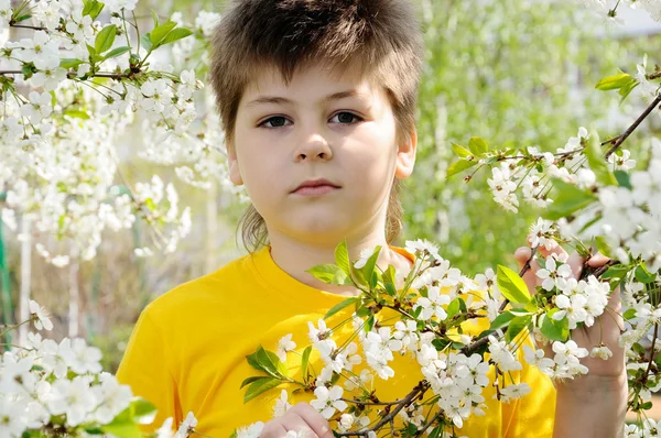 Der Junge im Frühling im Garten — Stockfoto