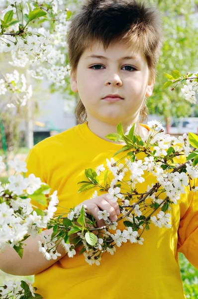 O menino no jardim na primavera — Fotografia de Stock