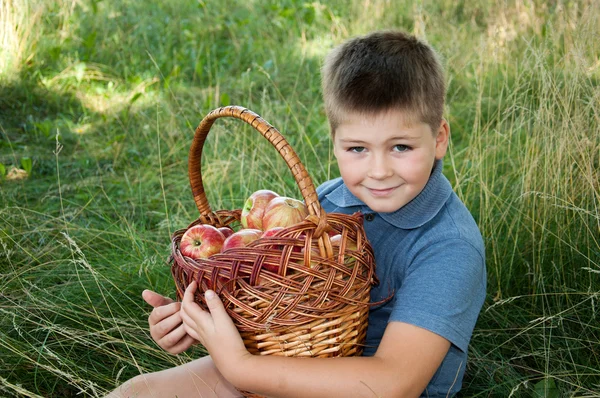 Menino com uma cesta de maçãs vermelhas no jardim — Fotografia de Stock
