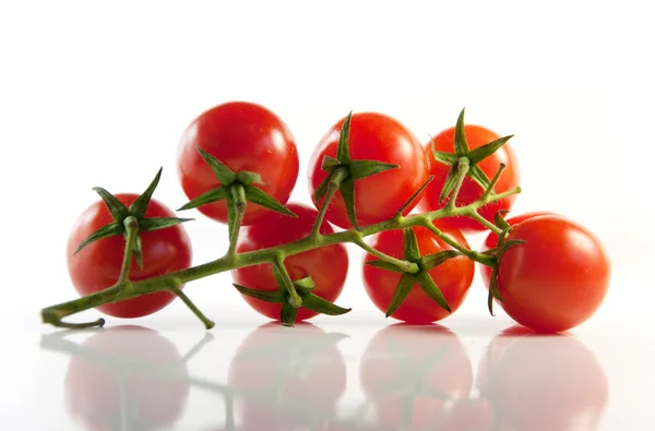 Sprig of ripe cherry tomatoes on a light background — Stock Photo, Image