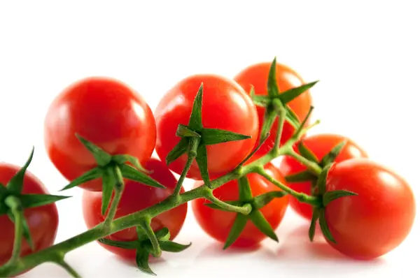 Sprig of ripe cherry tomatoes on a light background — Stock Photo, Image