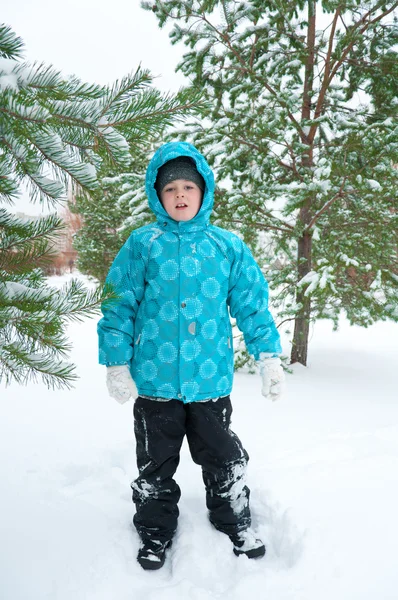 Мальчик в синей куртке, гуляющий в зимнем парке — стоковое фото