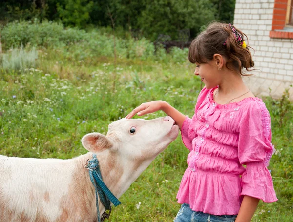 Village life. Girl with a calf — Stock Photo, Image