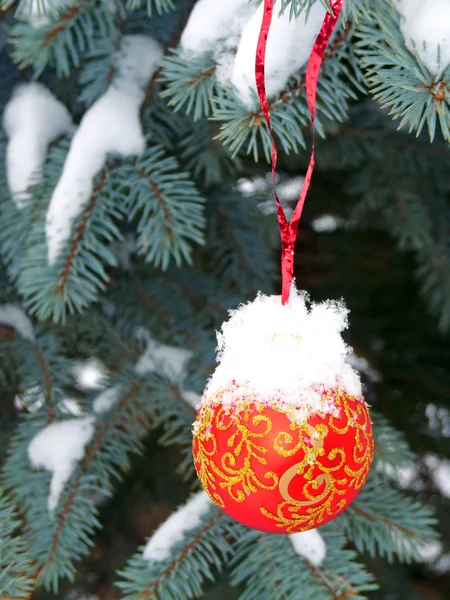 Sneeuw overdekte bal op een straat fir tree — Stockfoto