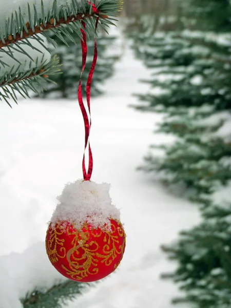 Bola cubierta de nieve en un abeto de la calle — Foto de Stock