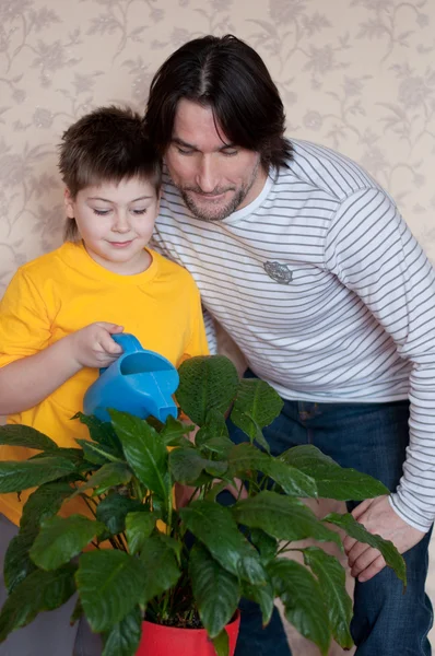 Dad and son watering the flower room — Stock Photo, Image