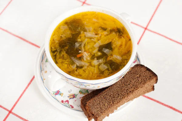 Piatto nazionale russo - Zuppa di crauti — Foto Stock