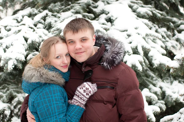 Jóvenes amantes mujer y hombre en un bosque de invierno —  Fotos de Stock