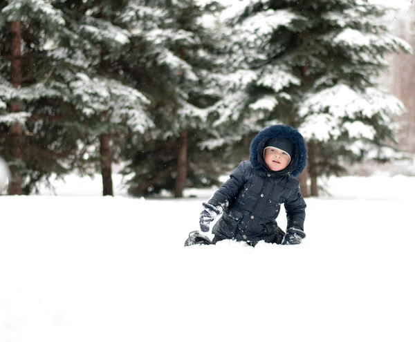 Liten pojke på en promenad — Stockfoto