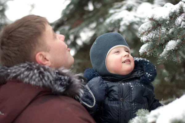 Dad and son on a walk in the woods in winter — Stock Photo, Image