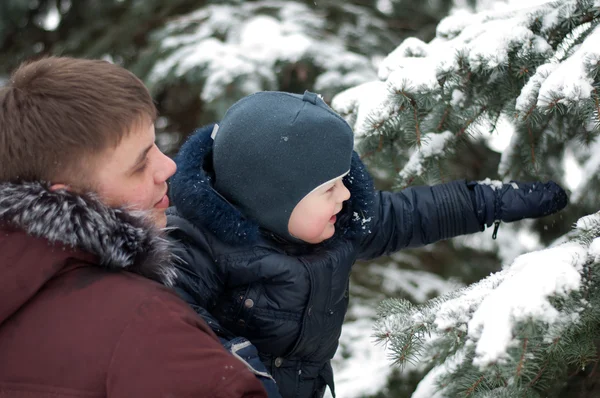 Pappa och son på en promenad i skogen på vintern — Stockfoto