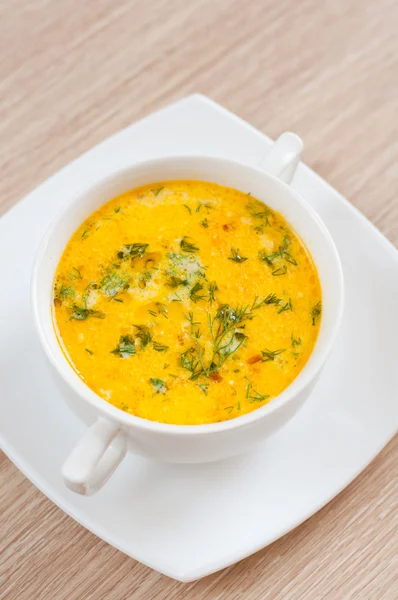 Una deliciosa sopa de queso y eneldo — Foto de Stock