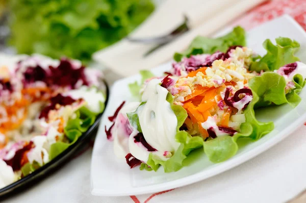 Salade de hareng et légumes — Photo