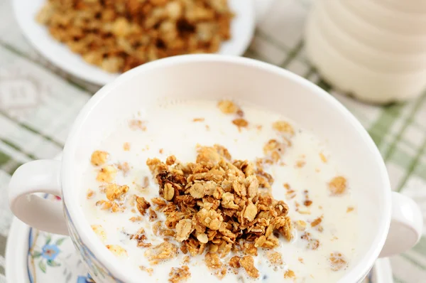 stock image Breakfast - Muesli with milk