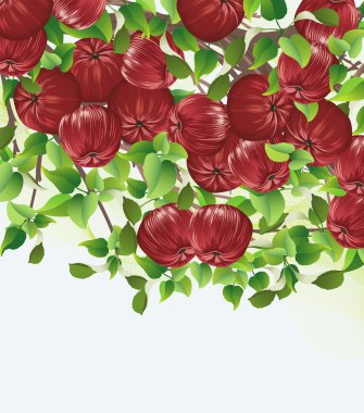 Red apples clipart