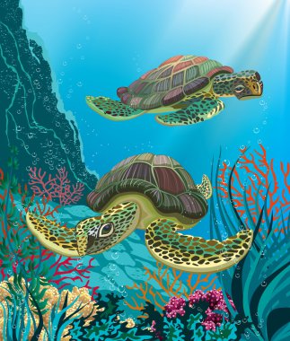 Sea turtles clipart