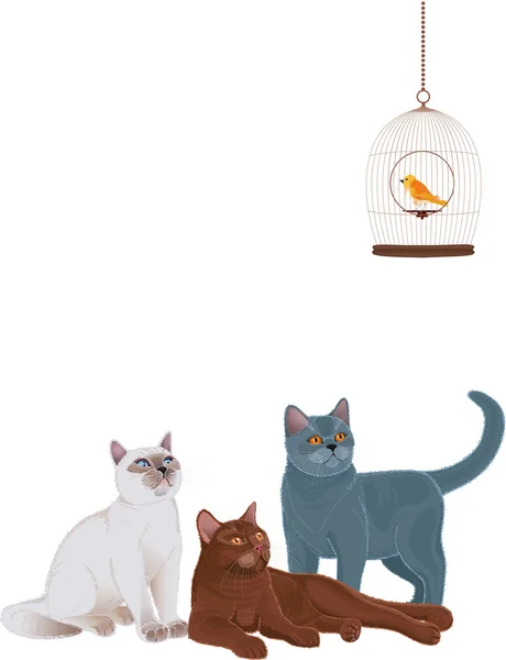 Три кошки — стоковый вектор