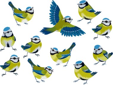 Blue tits clipart