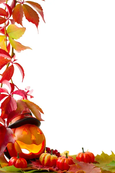 Calabazas con hojas de otoño — Foto de Stock