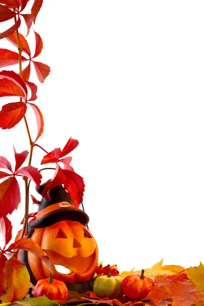 낙엽 이 있는 호박 — 스톡 사진