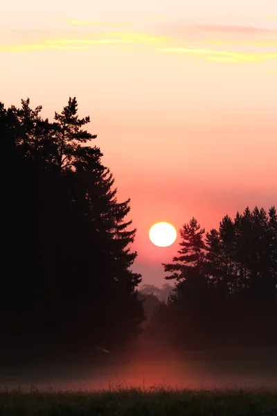 日の出 — ストック写真