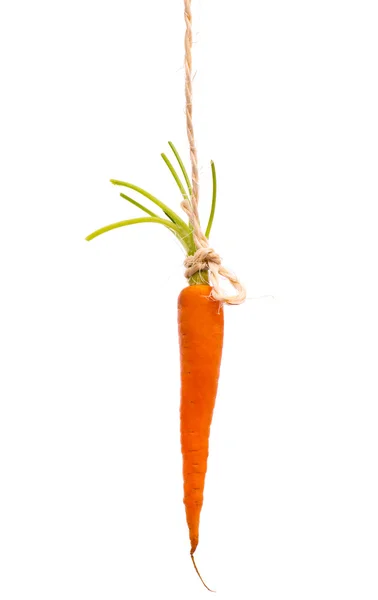Hanging Carrot on White Background — Stock Photo, Image