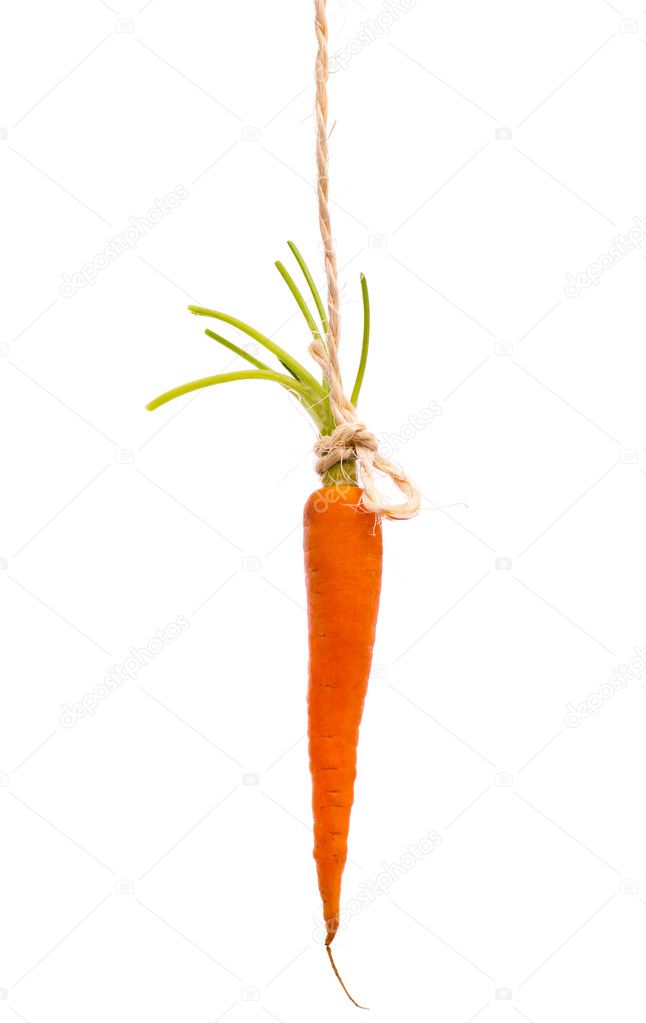 Hanging Carrot on White Background