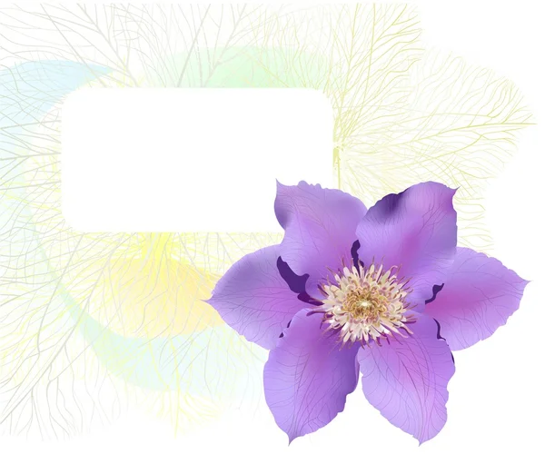 Clematis virág képeslap — Stock Vector