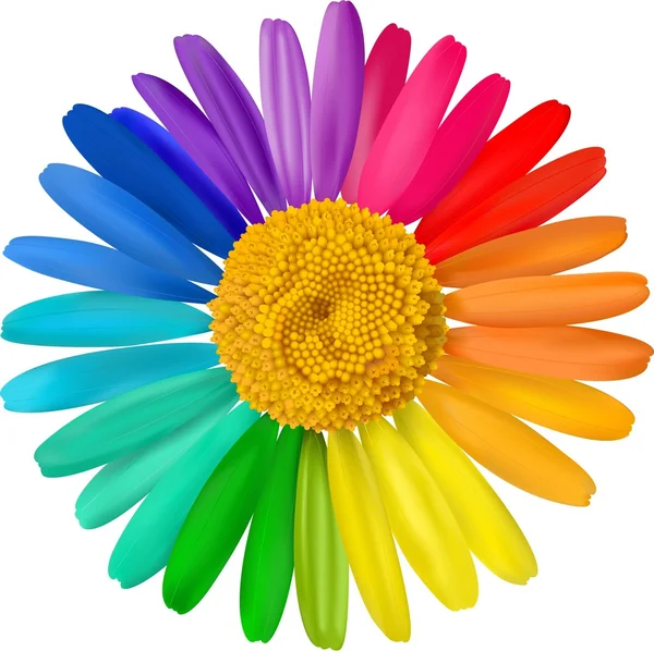 Vector multicolor margarita, flor de manzanilla aislada — Vector de stock