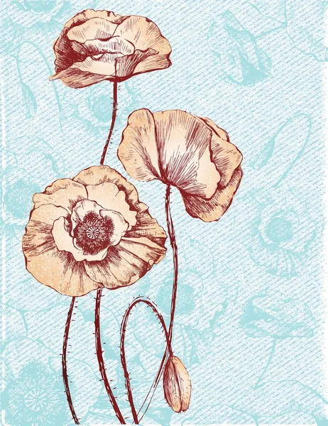 Vintage haşhaş ile romantik çiçek kartı — Stok Vektör