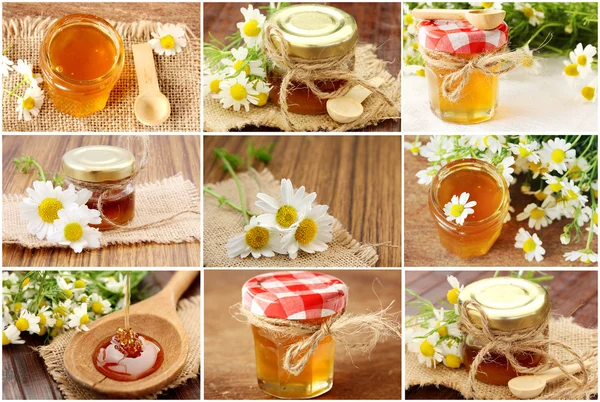 Collage med färsk honung — Stockfoto