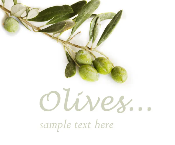 Olivy izolovaných na bílém — Stock fotografie