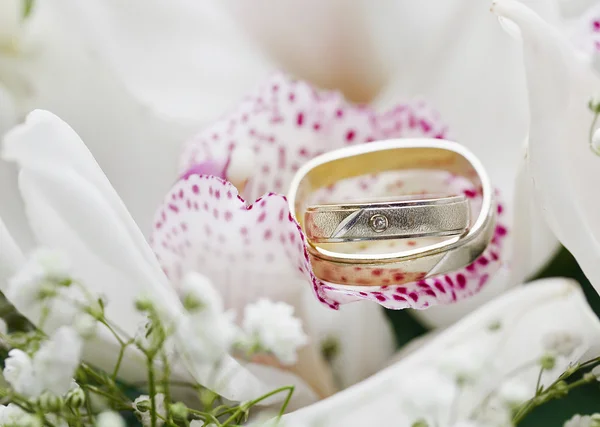 Wedding rings on orchid bouquet ,very shallow dof — Stock Photo, Image