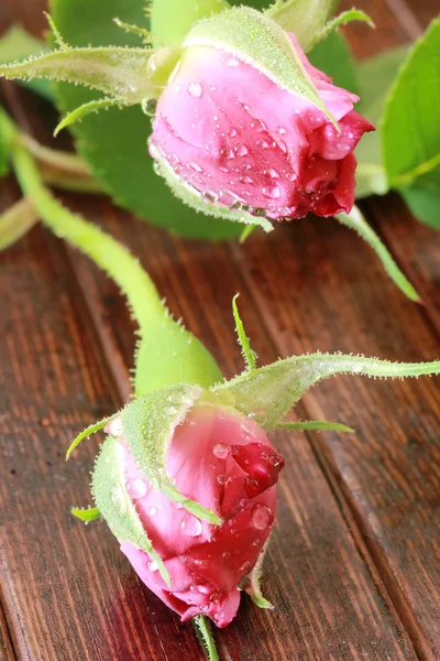 Róża na drewniane tekstury — Zdjęcie stockowe