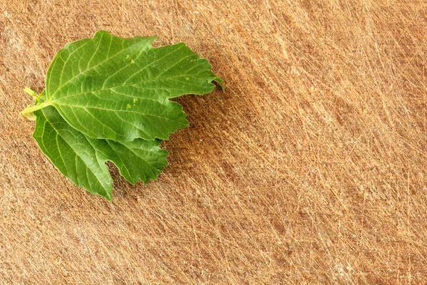 Folha verde sobre fundo de madeira — Fotografia de Stock