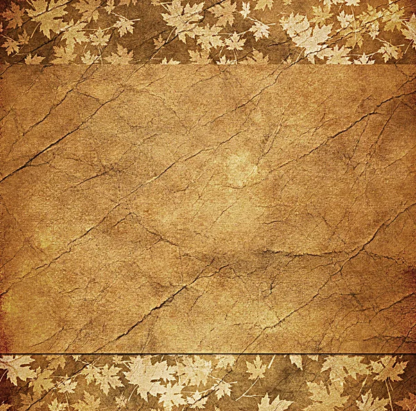 Floraler Grunge-Rahmen mit Herbstlaub auf altem Pergament . — Stockfoto