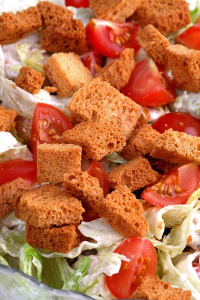 Einen Salat — Stockfoto