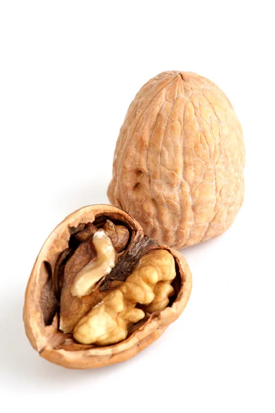 stock image Walnut