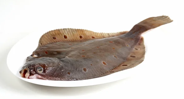 Egy hal a tányéron — Stock Fotó