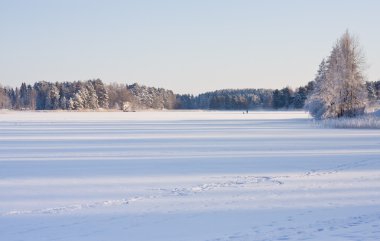 Winter lake landscape clipart
